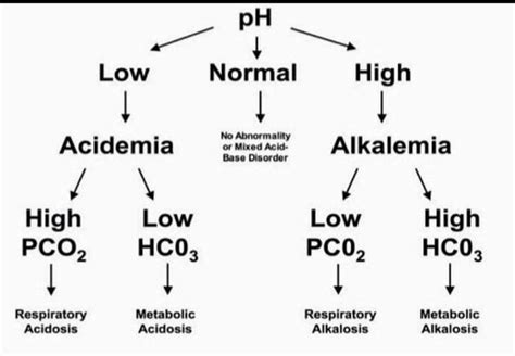 acidosis and alkalosis acidosis and alkalosis respiratory acidosis