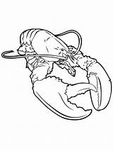Lobster Kreeft Kleurplaat Hummer Aragosta Realistic Kreeften Kleurplaten Realista Lobsters Malvorlage Crostacei Printmania Stimmen Stemmen sketch template
