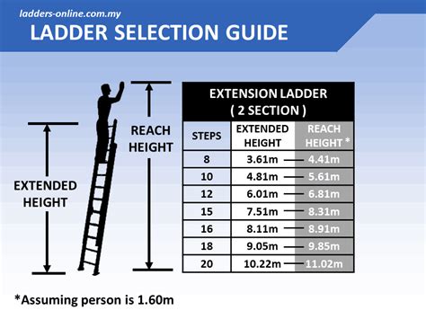 extension ladder  section kg ladders
