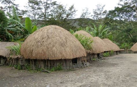 rumah adat papua suku