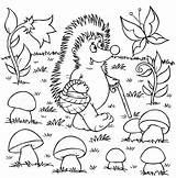 Hedgehog Egel Kolorowanki Krajobraz Gathers Mushrooms Listopad Jesienne Druku Lesie Darmo Jesienny Jeż Liście Kasztany Mytopkid sketch template