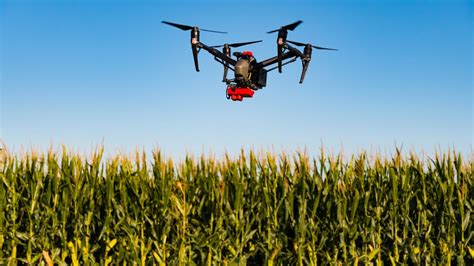 million grant   corn  wheat growers manage nitrogen fertilizer application ianr news