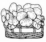 Basket Coloring Flowers sketch template