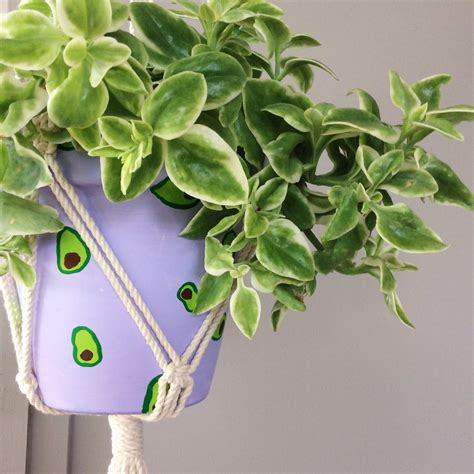 avocado hand painted planter   home decor  plant lover uv