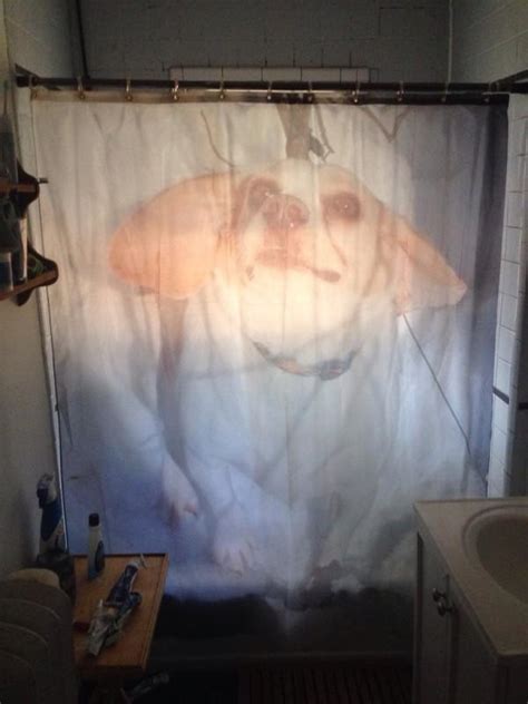 You Can Tell A Lot About A Person By Their Shower Curtains