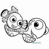 Coloring Nemo Pages Squirt Crush Finding Cartoons sketch template