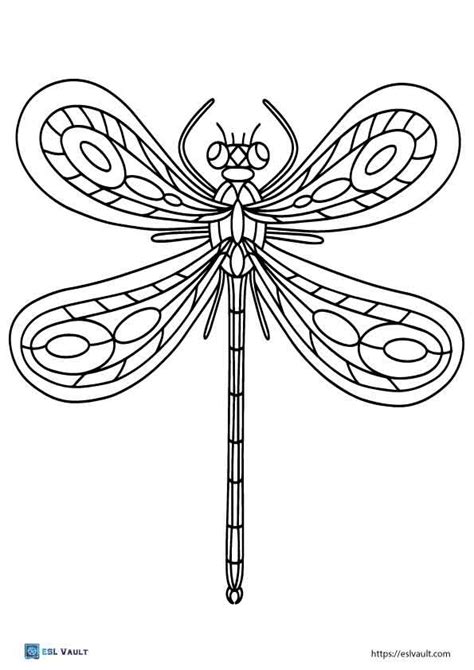beautiful dragonfly coloring pages esl vault