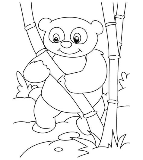 baby panda pages printable coloring pages