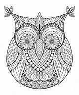 Zentangle Mandala Bird sketch template