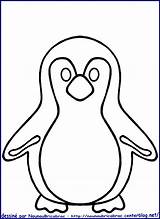 Pingouin Coloriage Colorier Imprimer Pingouins Dessin Clipart Google Bird Animaux Un Recherche Banquise sketch template