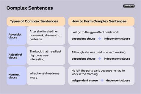complex sentence promova grammar