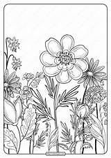 Flower Coloring Printable Pattern sketch template