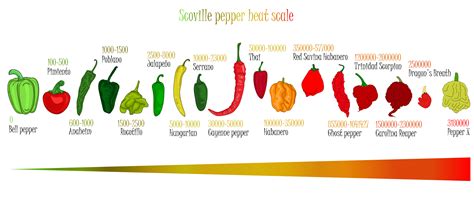 scoville heat scale  chili peppers poster ubicaciondepersonascdmx
