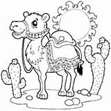 Desert Coloring Animals Pages Surfnetkids Printouts Life sketch template