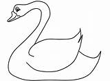 Coloring Pages Toucan Swan Denmark Beautiful Mute Animal National Comments Birds sketch template