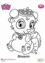Pets Palace Coloring Blossom Pages Disney Dot Supercoloring Printable sketch template
