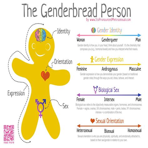 The Genderbread Person Débats Photo 40583555 Fanpop