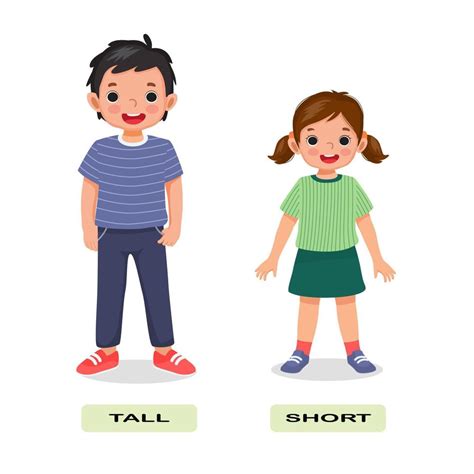 adjective antonym english words short tall illustration