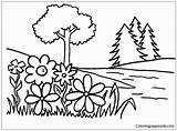 Trees Pages Flowers Coloring Color Kids Coloringpagesonly sketch template