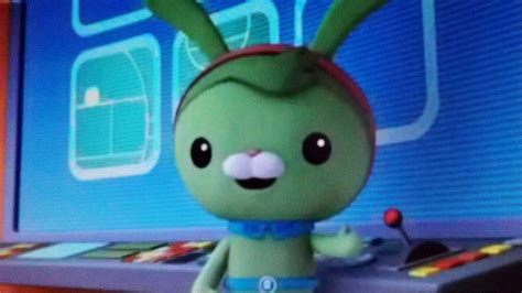 image  jpg octonauts wiki fandom powered  wikia