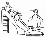 Penguin Coloring Pages Animals sketch template