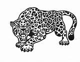 Jaguar Drawing Outline Tattoo Roaring Dire Stealing Ink Grey Logo Paintingvalley Drawings Animal Tattooimages Biz sketch template
