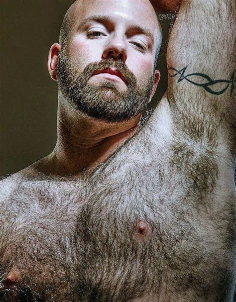 Bear hairy male