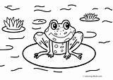 Coloring Pages Frog Nature Scenes Drawing Sheets Frogs Cartoon Pond Kids Cycle Life Printable Coqui Toad Color House Print Getcolorings sketch template