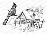 Winter Cardinal Coloring Obsession Impression Cling Stamp Mybigcommerce sketch template