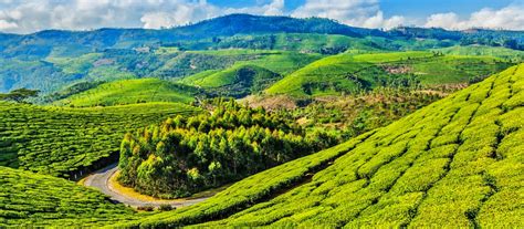 coonoor holiday packages book luxury holiday at coonoor