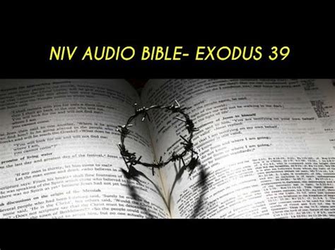 exodus  niv audio bible  text youtube