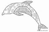 Delfin Ausmalen Delphin Malvorlage Artus Malvorlagen Downloaden Lebensfrohe Kostenloser Spannende Erlebnis sketch template