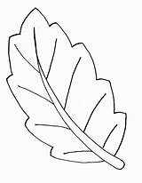 Leaf Shapes Coloring sketch template