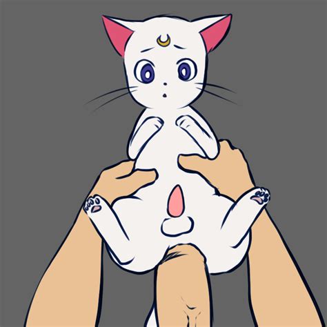 Rule 34 Anal Anal Sex Animated Aogami Artemis Sailor