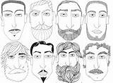 Beard Men Illustration Beards Illustrations Series Made Aboutcuriosity sketch template