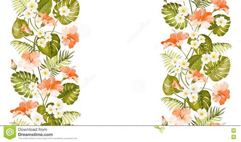 tripical flowers elements stock vector illustration  foliage