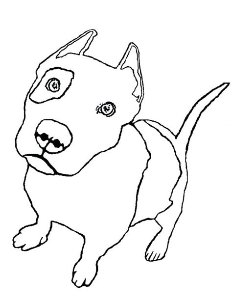 realistic puppy coloring pages  print check   realistic puppy