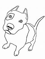 Pitbull Coloring Pages Pit Bull Drawing Realistic Line Zombie Bucking Color Drawings Getcolorings Cute Getdrawings Puppies Paintingvalley Bulls sketch template