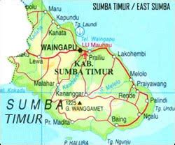 info ntt kabupaten sumba timur