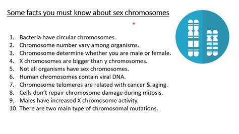 Picture Of Sex Chromosomes – Telegraph