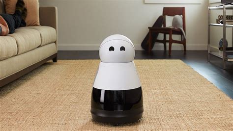 personal robots   home