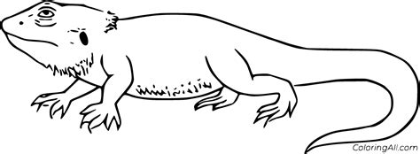 bearded dragon coloring pages   printables coloringall