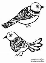 Bird Ornamental Printcolorfun sketch template