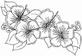 Hawaiian Hibiscus Sheets Educative Educativeprintable sketch template