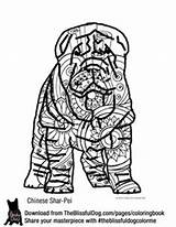 Shar Pei Designlooter sketch template