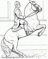 Caballos Caballo Doma Cavalos Horses Cavalo Colorir Lipizzaner Dibujo Desenhos Dressage Dibujoswiki Princess Cabeza Stall sketch template