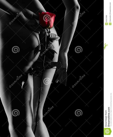 silhouette of nude woman with red rose isolated on black stock image image of isolated