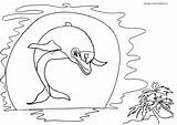 Tramonto Delfino Paesaggi Stampare Facili Oceania Estivi Mammafelice Sirene Eccezionale Copiare Bello Lusso Colora Balena Questi Anche sketch template