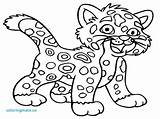 Coloring Cheetah Pages Baby Jaguar Cartoon High Leopard Animal Drawing Printable Color Rica Costa Little Quality Snow Easy Smart Animals sketch template