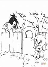 Coloring Sylvester Tweety Pages sketch template